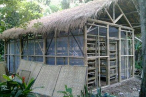 Foto Kumbung Jamur