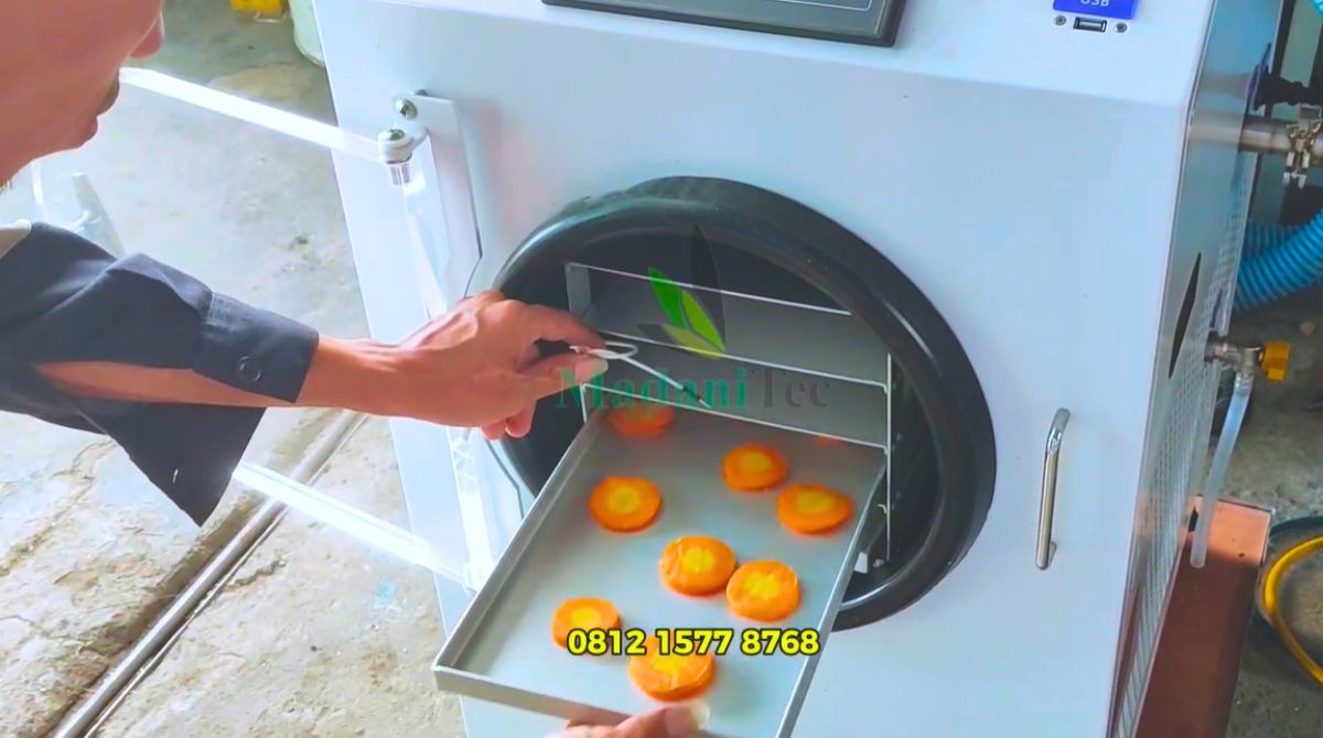 Proses Pembuatan Buah Kering