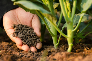 Mengolah Sampah Organik Menjadi Kompos Sebagai Bentuk Penerapan Prinsip 5R